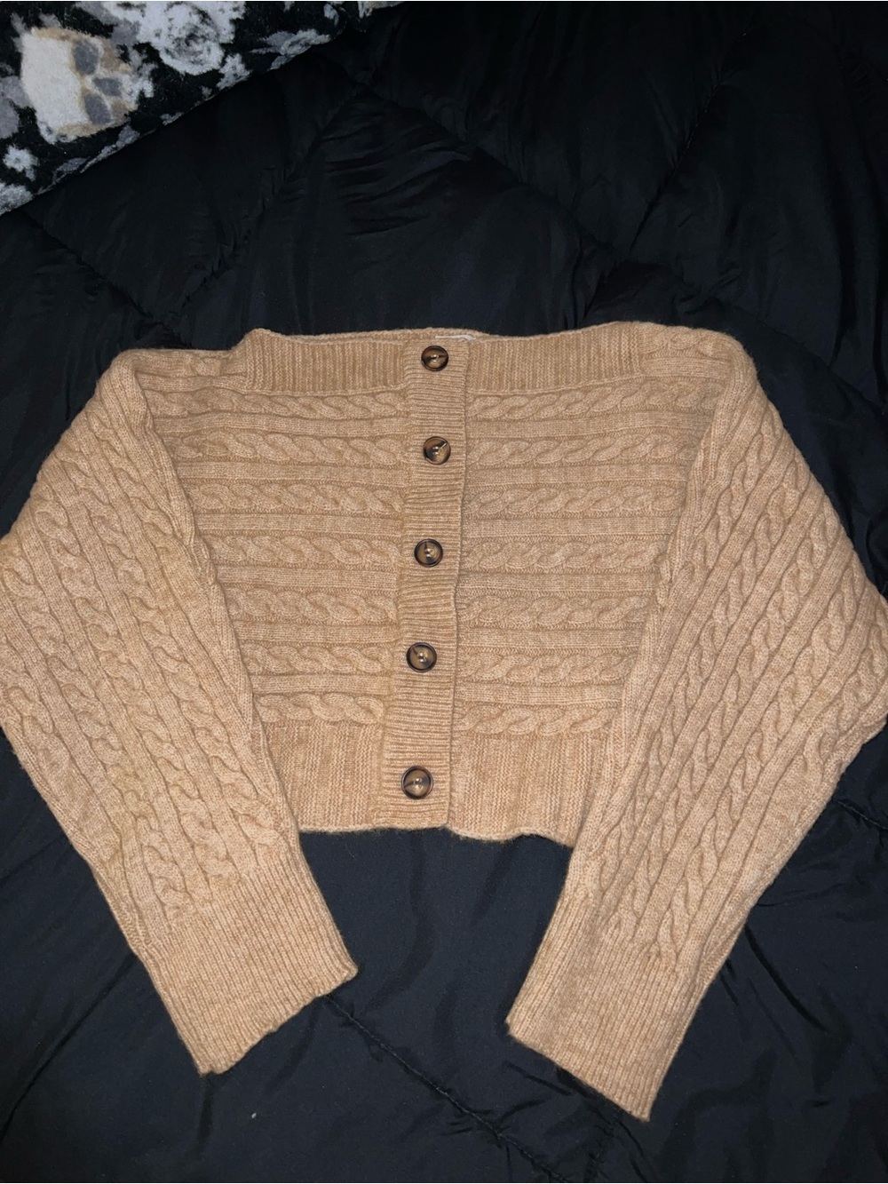 Le Lis Cable Knit Button-Front Cropped Cardigan - Camel